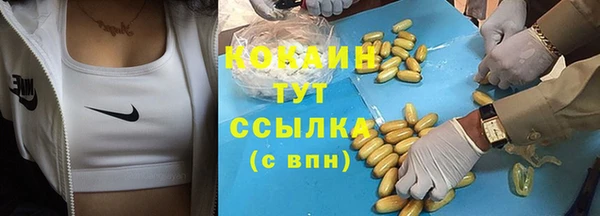 гидра Алексин