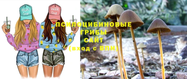 мескалин Михайловск